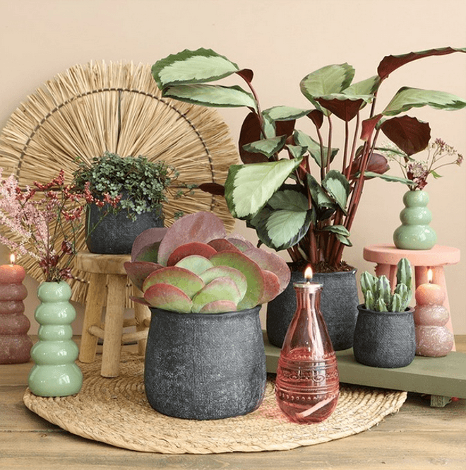 Hovedbilde Minivase, Rome Soft Pink seed 15,8 cm