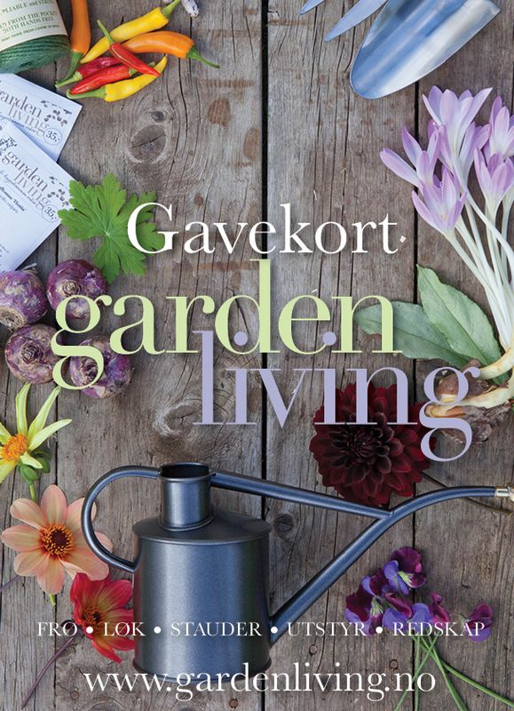 Gavekort