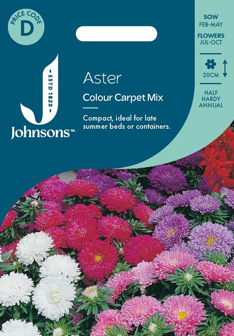 Hovedbilde Sommeraster 'Colour Carpet Mix' - Callistephus chinensis