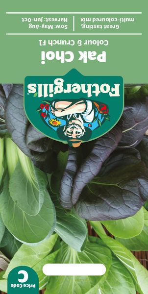 Hovedbilde Pak Choi 'Colour & Crunch' F1 - Brassica rapa var. ...