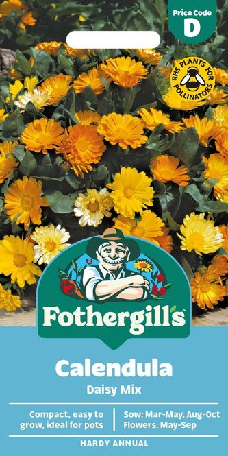 Hovedbilde Ringblomst 'Daisy Mixed’ - Calendula officinalis