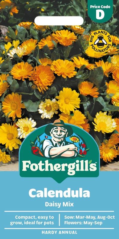 Ringblomst 'Daisy Mixed’ - Calendula officinalis
