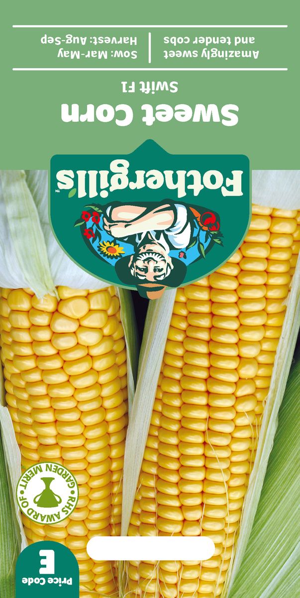 Mais 'Swift' F1 - Zea mays