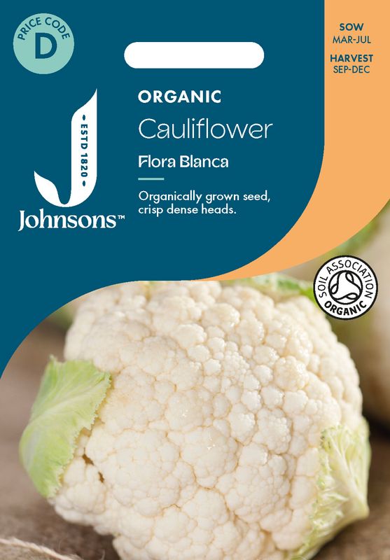 Blomkål 'Flora Blanca' - Brassica oleracea, Organic