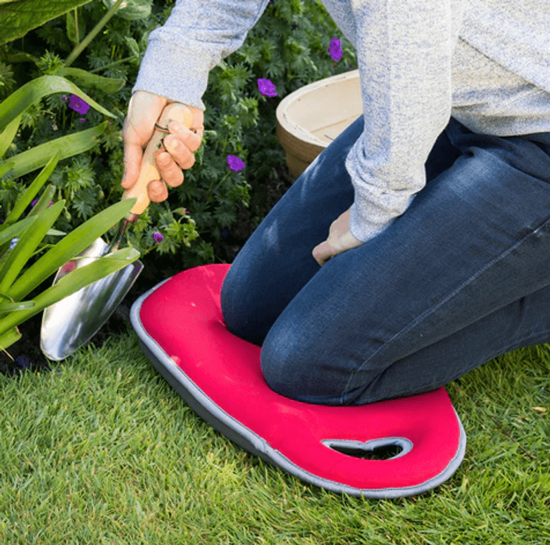 Knelepute, Kneelo® – rosa