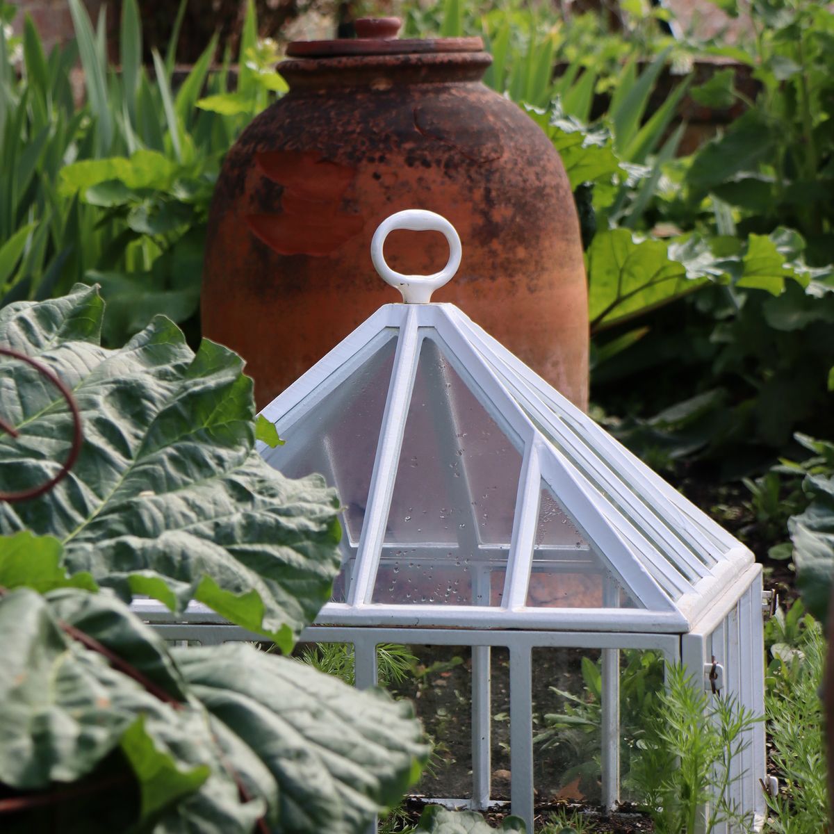 Claverton Cloches Kvadratisk vekstklokke
