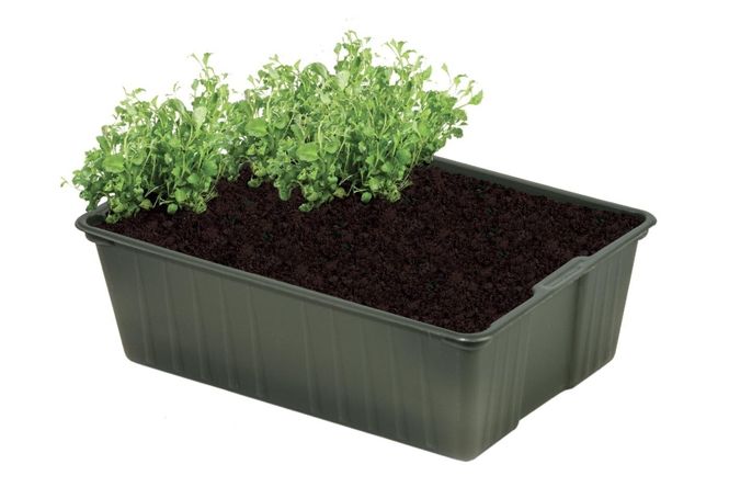 Hovedbilde Såbrett, 14,5 cm - biobasert 5 pakk
