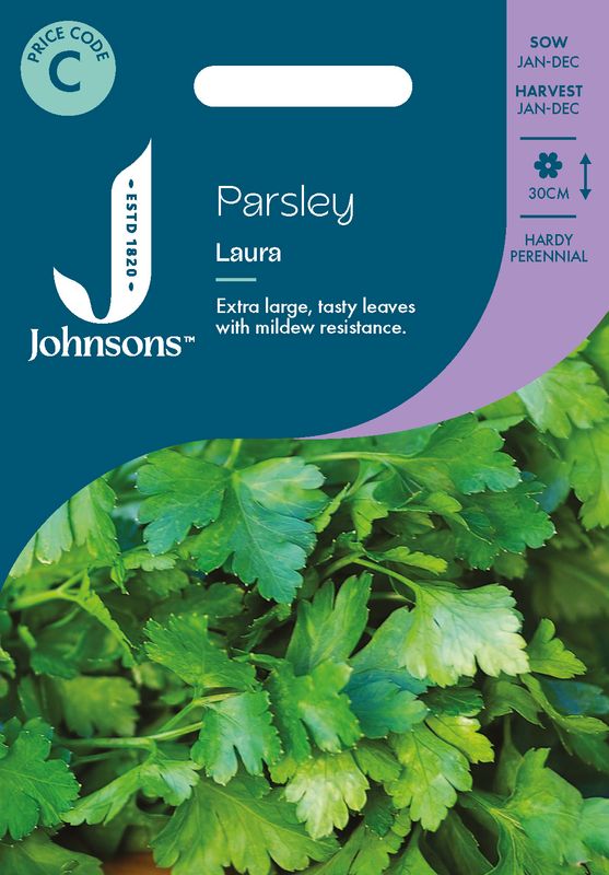 Persille 'Laura' - Petroselinum crispum, flatbladet