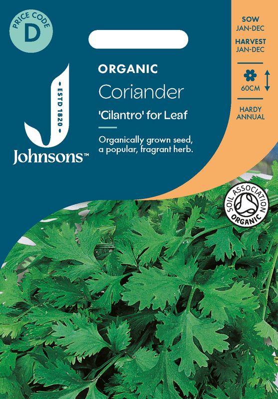 Koriander 'Cilantro' - Coriandrum sativum, Organic