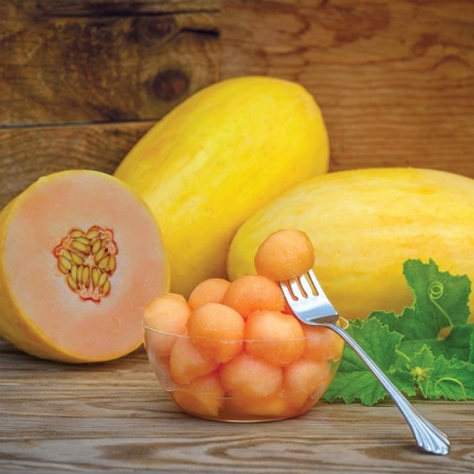 Hovedbilde Melon 'Mangomel' - Cucumis melo