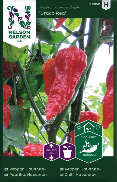 Hovedbilde Chilipepper 'Draco Red' - Capsicum chinense x capricum