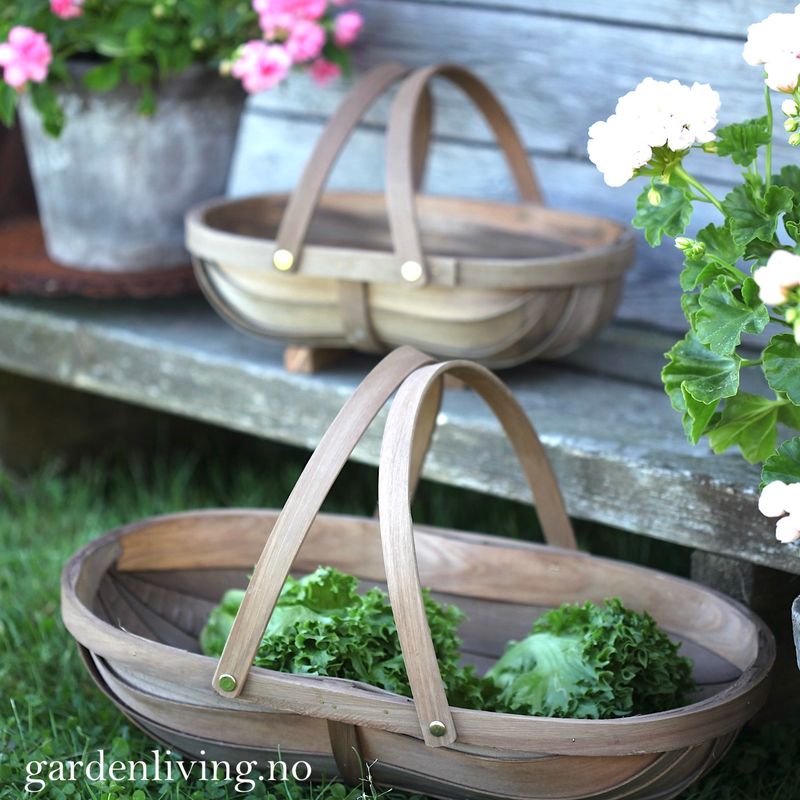Sponkurv, medi - Sussex Trug