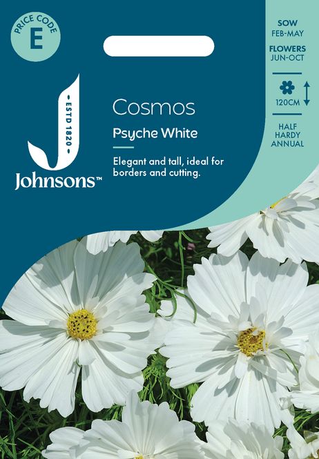 Hovedbilde Pyntekorg 'Psyche White' - Cosmos bipinnatus