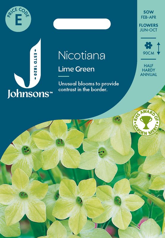 Prydtobakk 'Lime Green' x Nicotiana sanderae