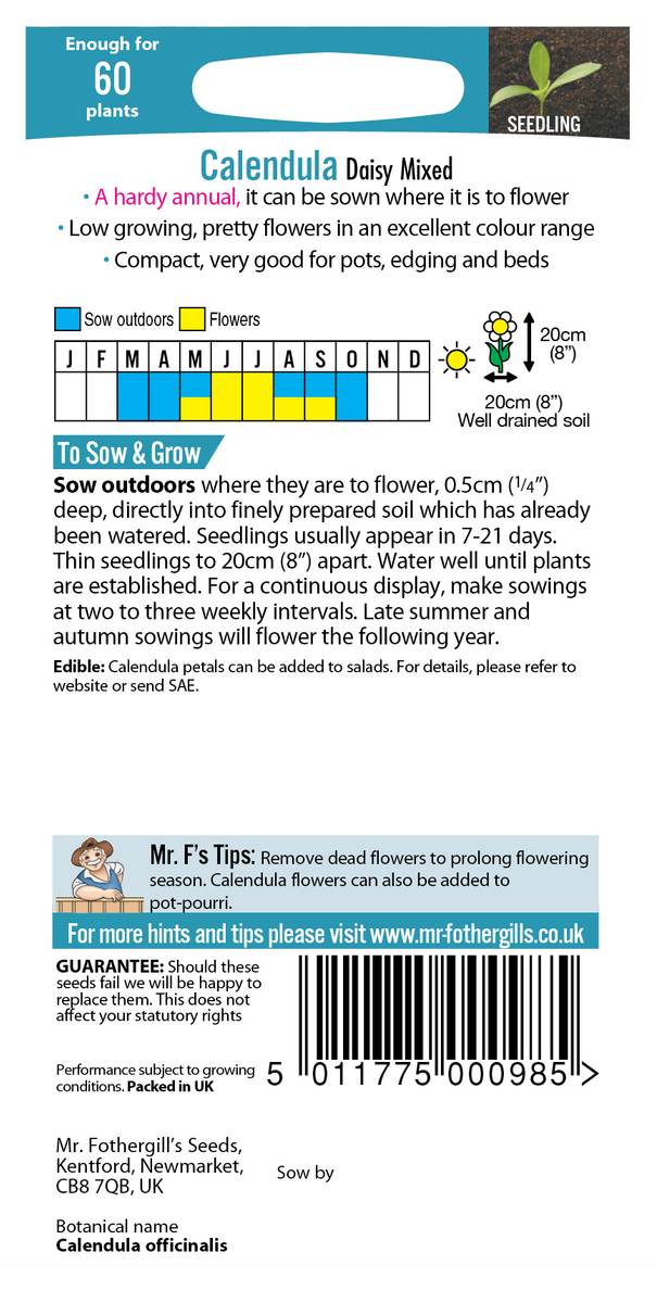 Ringblomst 'Daisy Mixed’ - Calendula officinalis