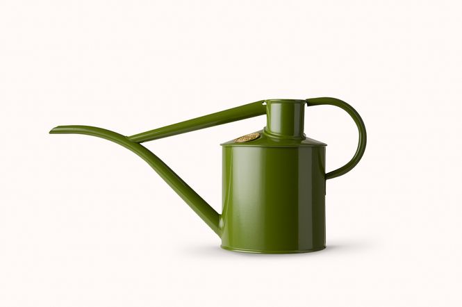 Hovedbilde Vannkanne, Haws Fazeley Flow 1 l - Fern green