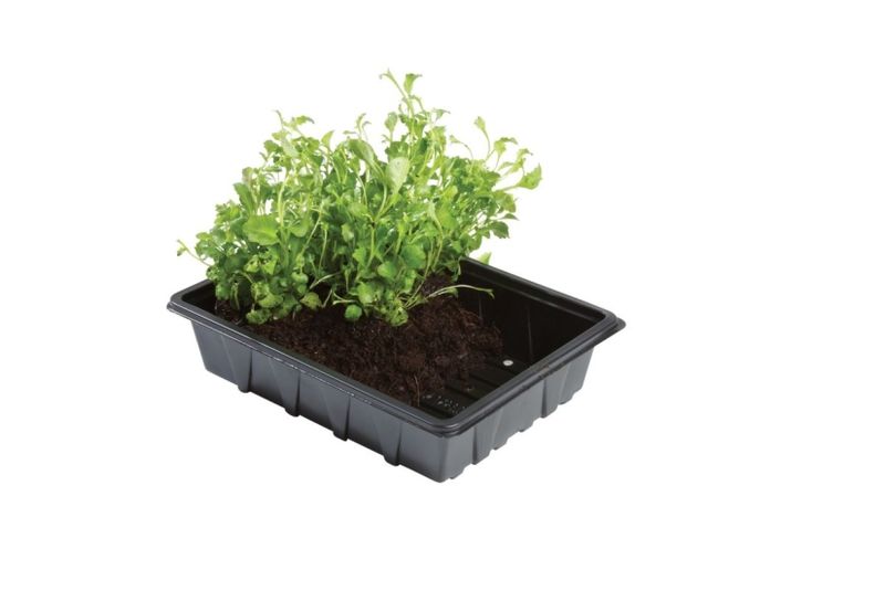 Såbrett 23 cm, 5-pakk 