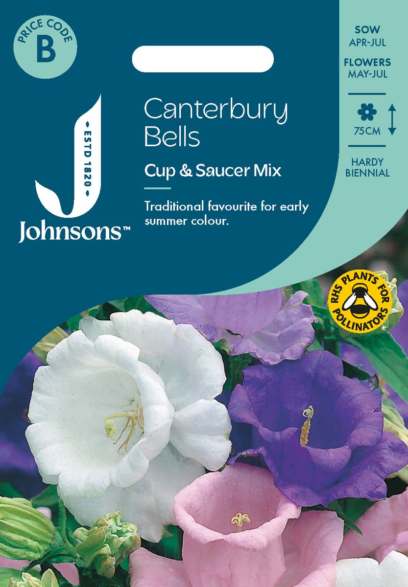 Mariaklokke 'Cup And Saucer Mixed'  - Campanula medium