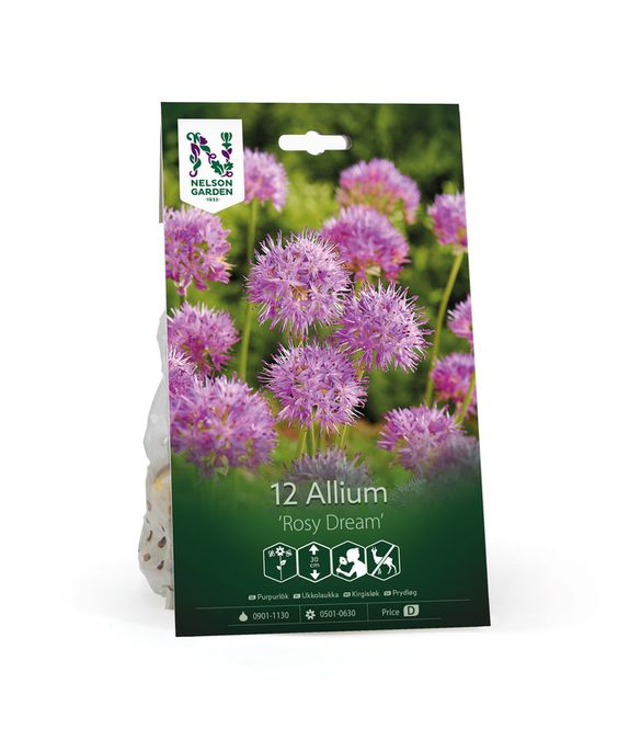 Hovedbilde Prydløk 'Rosy Dream' - Allium  - 12 stk