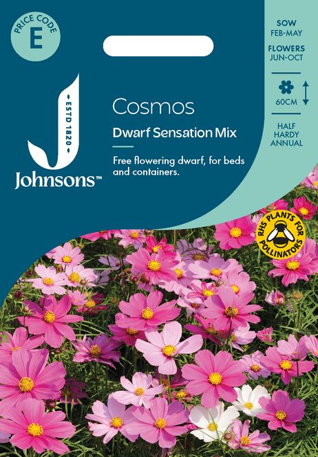 Hovedbilde Pyntekorg 'Dwarf Sensation Mixed' - Cosmos bipinnatus, lav