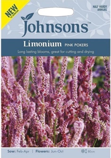 Hovedbilde Knerisp 'Pink Pokers' - Limonium sinuatum