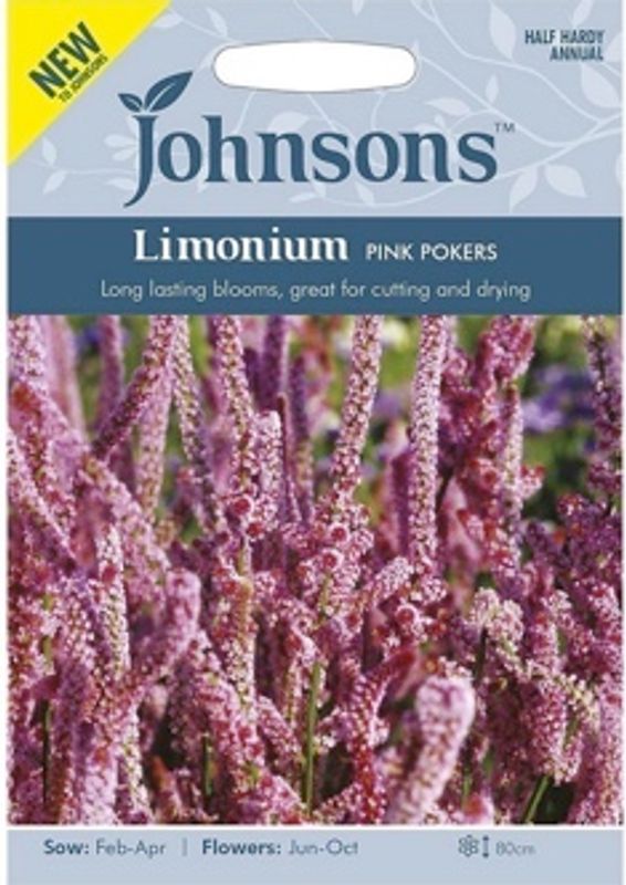 Knerisp 'Pink Pokers' - Limonium sinuatum