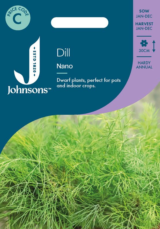 Dill 'Nano' - Anethum graveolens