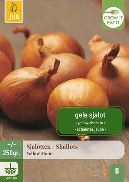 Hovedbilde Setteløk, Sjalott- 'Yellow Moon', 250 g