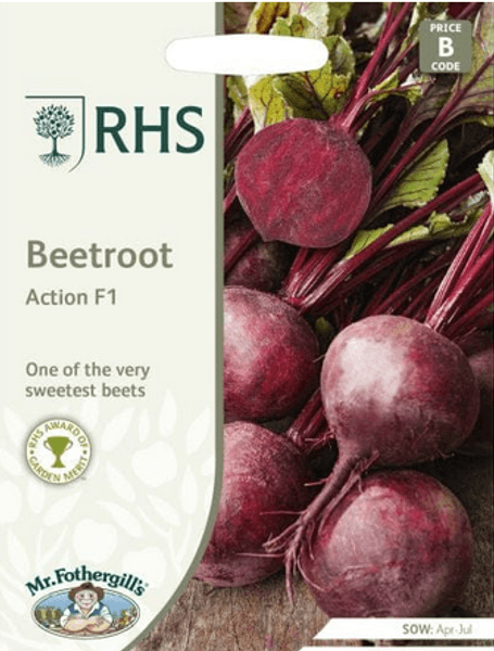 Hovedbilde Rødbete 'Action' F1 - Beta vulgaris