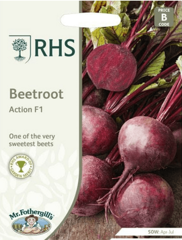 Rødbete 'Action' F1 - Beta vulgaris