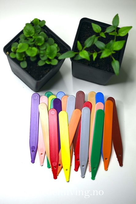 Hovedbilde Etiketter 10 cm, flere farger - 50 stk