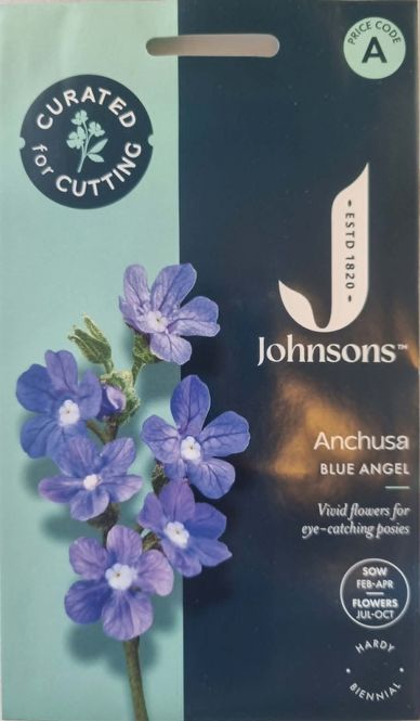 Hovedbilde Afrikansk oksetunge 'Blue Angel' - Anchusa capensis