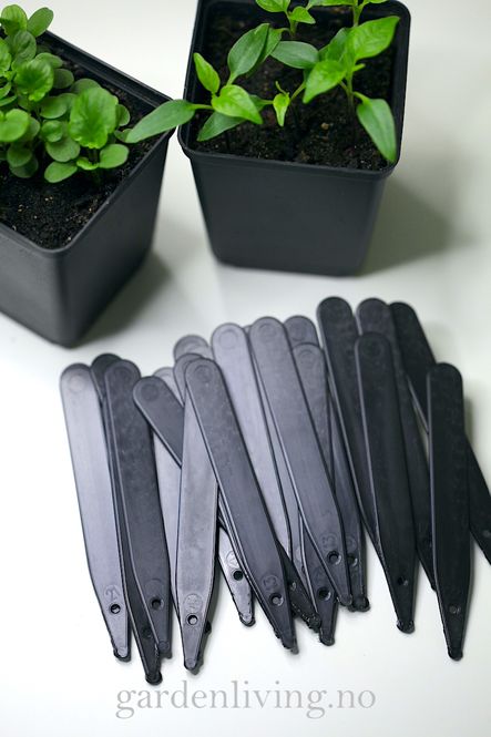 Hovedbilde Plastetiketter, svarte 10 cm - 100 stk