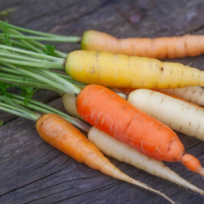 Hovedbilde Gulrot 'Rainbow' F1 - Daucus carota
