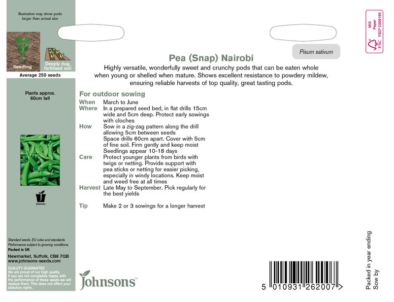 Brytsukkerert 'Nairobi' - Pisum sativum