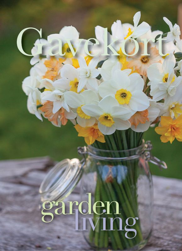 Gavekort