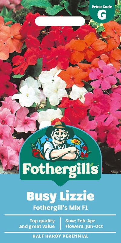 Flittiglise 'Mr. F's Mixed' F1 - Impatiens walleriana 
